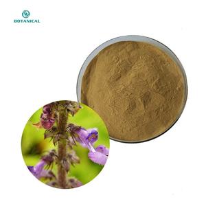 Bubuk <span class=keywords><strong>Forskolin</strong></span> 10% kualitas tinggi dalam Coleus Forskohlii harga/Coleus Forskohlii ekstrak - Product Image 2