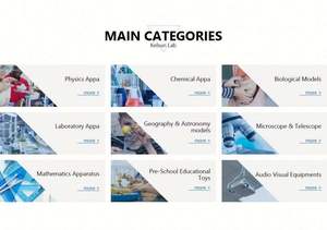 50206.33 Structure de feuille de dicotyléenne typique - Product Image 4