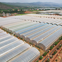 Serre multi-chapelles en film plastique pour agriculture verticale et hydroponie automatique avec système hydroponique intérieur