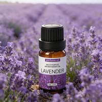Huile essentielle de lavande douce, aromathérapie naturelle pure, échantillon gratuit en gros