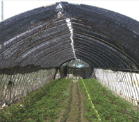Filet pare-soleil noir tricoté respirant résistant aux UV, enroulable, pour la protection des plantes et des vergers