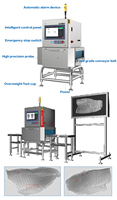 Détecteur de Rayons X Haute Sensibilité pour Emballages Alimentaires (Glucose & Biscuits), Protection IP66, 2kW 220V OEM