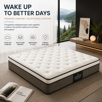 Matelas de lit de luxe minimaliste sur mesure pour hôtel, avec surmatelas, housse en tissu durable, système de soutien multiple, OEM/Fournisseur