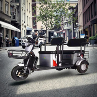 Vélo électrique hybride de nouveau Style pour adultes 48v Tricycle à trois roues moteur central engrenages à 3 vitesses alimentation batterie plomb-acide
