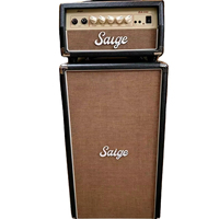Amplificateur audio professionnel ultra-puissant 100 watts pour basses et guitares électriques, vente en gros directe usine