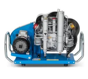 MCH16 30Mpa Luchtcompressor Machine Voor Vullen Ademhaling Cilinder