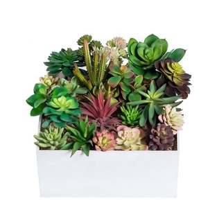 <span class=keywords><strong>Pas</strong></span> cher en gros décoratif mini <span class=keywords><strong>cactus</strong></span> assortiment extérieur intérieur suspendus arrangement plantes artificielles succulentes - Product Image 1