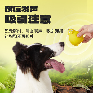 Juguete de látex para perros con sonido de pato, juguete para mascotas de interior para masticar y divertirse con los dientes - Product Image 1
