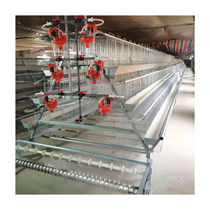Cage à poulets de type A pour l'élevage avicole, poulailler pour poules pondeuses, avec système d'abreuvement et d'alimentation automatiques pour 10 000 oiseaux - Product Image 4