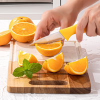 Jilet keskin yüksek karbon paslanmaz çelik bıçaklar ile ergonomik plastik saplar mutfak şef bıçak seti & biftek bıçakları Set