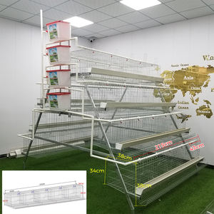 Kanatlı çiftlik galvanizli 5000 kuşlar A tipi pil hayvan <span class=keywords><strong>Coop</strong></span> otomatik yumurta yetiştiriciliği tavuk tabakası tavuklar kafes satılık döşeme - Product Image 1