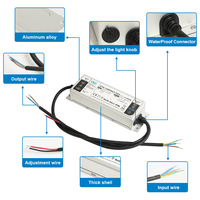 Controlador LED Zetoo de Alta Eficiencia Energética, Impermeable IP66, 3 en 1, Atenuación, Salida Única, 50W-300W, Sin Parpadeo, 5 Años de Garantía para Iluminación Exterior