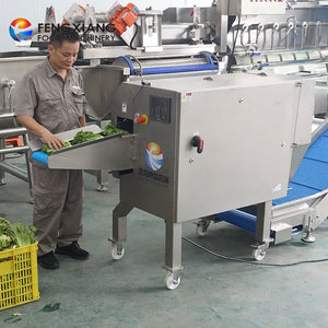 1-3t/h Custom Vegetable Processing Line Vortex Washing Cutting Packing for Pre-made Dish Net Veg Bagged Supply - Product Image 2