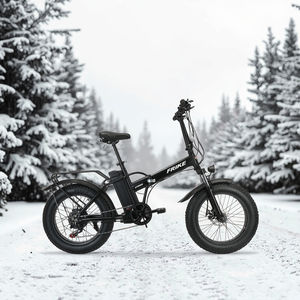 Vélo tout-terrain <span class=keywords><strong>électrique</strong></span> pliant de 20 <span class=keywords><strong>pouces</strong></span>, moteur <span class=keywords><strong>1000W</strong></span>, batterie au Lithium, vente à chaud - Product Image 2