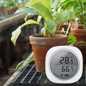 <span class=keywords><strong>INKBIRD</strong></span> – thermomètre hygromètre de Station météo numérique professionnelle - Product Image 5