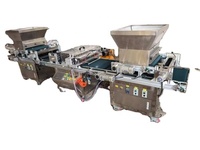 Semoir automatique haute vitesse pour semis de riz, poivrons, laitues et carottes, avec plateau de pépinière