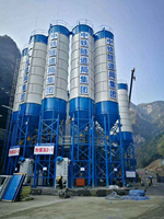 Silo per Cemento Verticale da 100 Tonnellate, Grande Capacità di Stoccaggio, in Lamiera d'Acciaio, Silo Mobile per Cemento