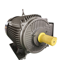 Moteur synchrone à aimants permanents WPDJ PMSM à haute efficacité pour laminoir, certifié CE