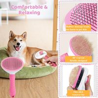 Kit de toilettage pour chat et petit chien en plastique, 7 pièces, facile à utiliser, avec brosse, peigne, coupe-ongles, brosse à dents et peigne anti-poils