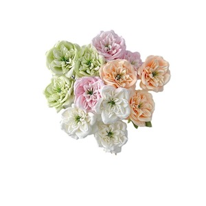 Bouquet de fleurs artificielles en soie Longyuan 3 têtes Austin pour décoration maison et mariage – Rose, Rouge, Bleu, Vert, Rose Rouge, Champagne - Product Image 5