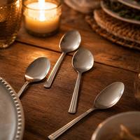 Cuillère de service en acier inoxydable 18/0, cuillère à dessert réutilisable, vaisselle pour buffet, restauration, hôtel, commande OEM