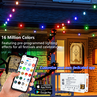 Guirlandes lumineuses LED RGBW à pixels P65 pour extérieur, contrôlées par Wi-Fi basé sur le cloud, idéales pour Noël