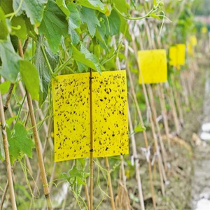 Trampa Adhesiva <span class=keywords><strong>para</strong></span> Insectos Voladores de Doble Cara <span class=keywords><strong>para</strong></span> Interiores, Exteriores, Granjas, Jardines, Invernaderos y Huertos - Product Image 6