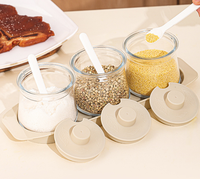 Ensemble de pots à sel écologiques 900 ml, multifonctionnels, pour épices et condiments, avec cuillère et plateau pour la cuisine