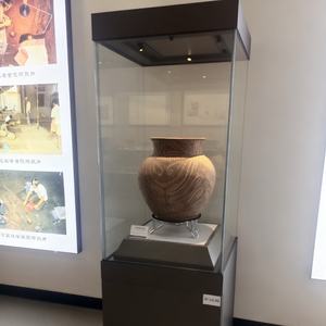 Vitrina de Vidrio Económica BX para Museo, Biblioteca y - Product Image 1