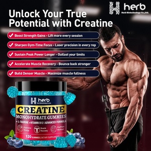 Gomitas de Creatina Monohidrato para Nutrición Deportiva de Marca Privada OEM/ODM, Gomitas de Creatina para el Crecimiento Muscular Pre-Entrenamiento para Adultos - Product Image 5