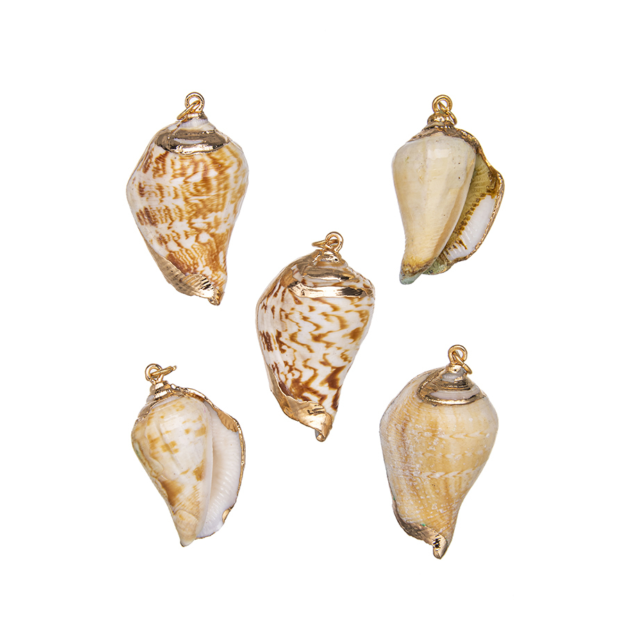 Conch Sankha Locket Gold - Natural Shell Pendant Jewelry