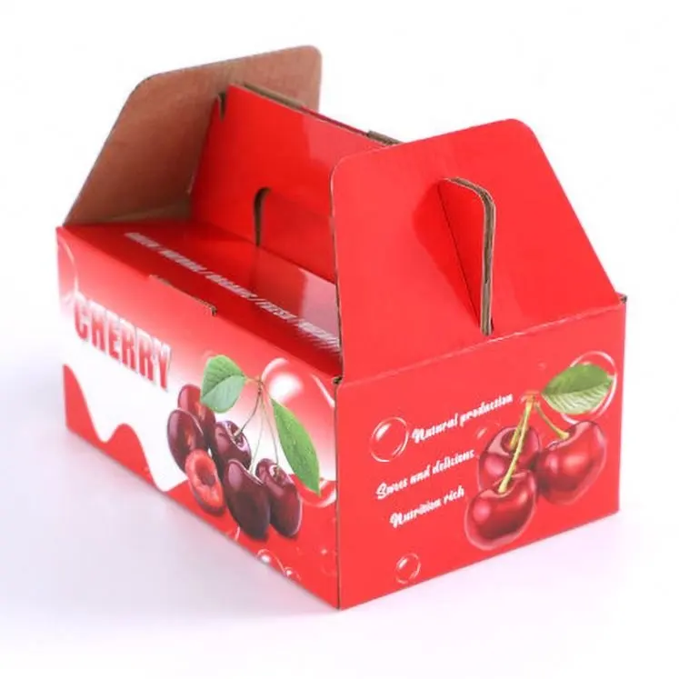 Scatola di cartone di stoccaggio biodegradabile di stampa personalizzata che imballa frutta dell'uovo di grandi dimensioni con la maniglia