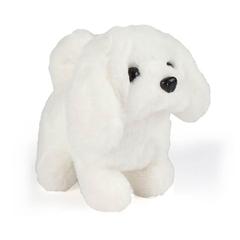 Bichon