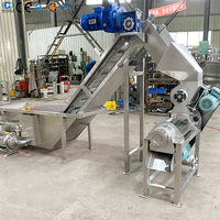 Automatische mango-sapverwerkingslijn met concentratiefunctie, 6000 Bph capaciteit