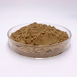 대량 재고 순수 녹색 커피 콩 추출물 50% 클로로겐산 - Product Image 3