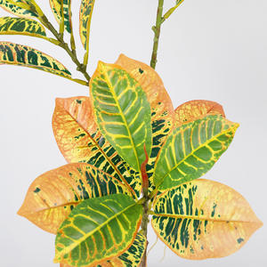 Arbre artificiel Banian doré réaliste à plusieurs branches avec des feuilles aux couleurs dynamiques pour la décoration d'angle de salon moderne - Product Image 3