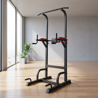 Peralatan Latihan Kebugaran Gym Rumahan Multifungsi, Power Tower Pull Up Dip Station Custom Grosir, Zhejiang