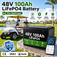 Водонепроницаемая аккумуляторная батарея LiFePO4 IP67 48В 100Ач для гольф-каров с интеллектуальной Bluetooth BMS системой, замена для Club Car, EZGO, Yamaha