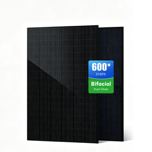 Module photovoltaïque bifacial à double vitrage haute performance, type N, mono demi-cellule, série 600W, pour applications à grande échelle - Product Image 1