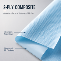 Drap de lit médical jetable en PP non tissé avec support imperméable en papier+PE, certifié CE, tailles 80x180cm ou sur mesure