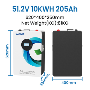Système de stockage d'énergie à batterie Lifepo4 murale 51,2 V 200 Ah 10 kWh 205 Ah pour CE MASDS UN38.3 - Product Image 4