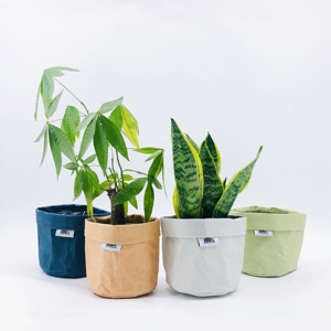 North European Reuse Bread Baskets <strong>Large</strong> Capacity Washable Kraft Paper Storage Bags Green Plant Creative Personality <strong>Flowerpot</strong> - Product Image 2