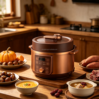 Cuisinière à pression électrique populaire 4L 5L 6L, décompression automatique, multifonction, pour les repas quotidiens en famille