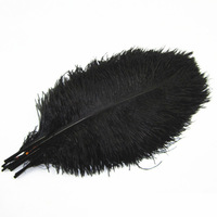 Décoration de robe de carnaval 35-40cm plume d'autruche différentes tailles et couleurs plume d'autruche naturelle