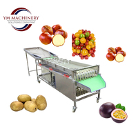 Fruit sorteermachine voor granaatappels, kersentomaten & groenten - sorteerlijn voor fruitverwerkingsbedrijven