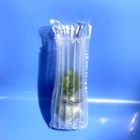 gonflables en rouleau, 2 pièces, écologiques, colonne de bulle d'air, protection de bouteille de vin, Film d'amortissement