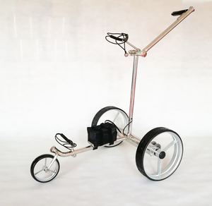 Voiturette de golf en acier inoxydable, résistante à la rouille et aux intempéries, équipée d'une batterie au lithium - Product Image 6