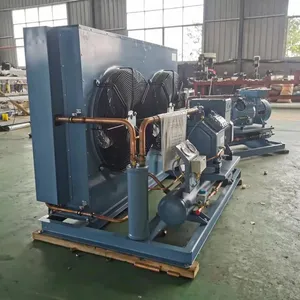 Wholesale Air Cooled Condensing Unit with 3~20hp Fusheng RefComp York Compressor for -5~5 Degree Cold Storage for sale