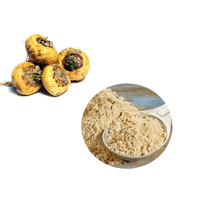 Zhengdi factory – supplément de santé pour hommes et femmes, extrait de racine de Maca noir en poudre