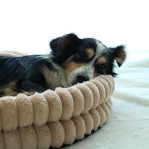 Nueva Cama de Invierno <span class=keywords><strong>Premium</strong></span> para Gatos de Piel Sintética, Cálida, Antideslizante, Separable, con Base de Felpa, en Existencia - Product Image 3